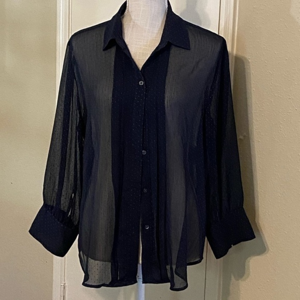 Banana Republic Sheer Blouse